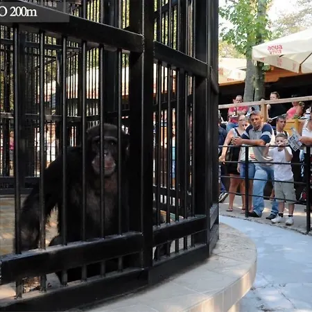 Апартаменты Wing 2